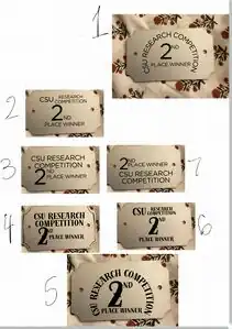 Figure 1.2 - Font Prototyping