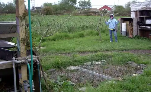 Underground outtake to small grove at AEF greywater