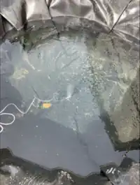 Image 6. Partial Sun/Partial shade