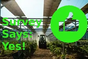 Do agrivoltaics improve public support for solar? A survey on perceptions, preferences, and priorities