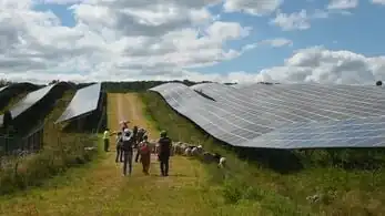 Advancing Agrivoltaics within the U.S. Legal Framework: A Multidimensional Assessment of Barriers & Opportunities