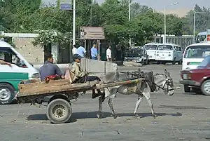 300px-Animal-powered_transport_in_Cairo.jpg