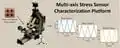 Multi-Axis Stress Sensor Characterization and Testing Platform