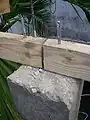 Fig 5: Rebar from the column is threaded through holes drilled in the wood.