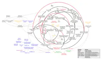 Toward Distributed Local Recycling Networks for Plastic Waste: A System Dynamics-Based Approach (Part I)