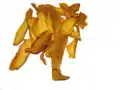 Dehydrated Mangoes