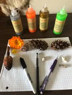 The Fibonacci in nature activity is an activity that has students go on a "scavenger hunt" for whatever they can find in nature with a spiral. Students are then shown the relation between the objects they found vie the Fibonacci Sequence. Students are then led through an activity of calculating and drawing their own Fibonacci Sequence.