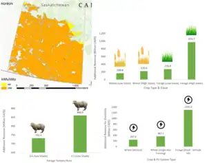 Maximizing Biomass with Agrivoltaics: Potential and Policy in Saskatchewan Canada