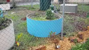 Jefferson Community Center edible landscapeGarden Beds in the Edible Landscape