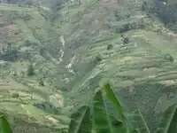 Deforestation in Haiti