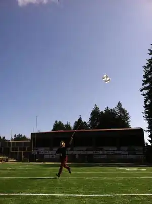 Bag it Up box kite Upcycled malt bags into box kites.
