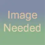 Fig.1c Every piece was laid flat on the ground below its final location on the wall.We assembled every piece possible without glue and marked the cuts needed with an inch for overlap added.