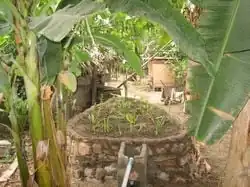 Greywater Ecuador La lagrima purificadora