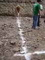 Fig: Lime is poured over the string to mark where to dig.