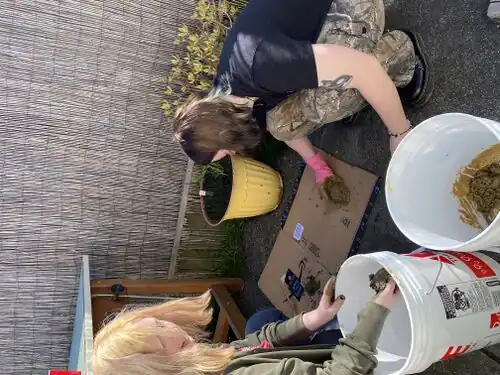 For the physical cob we decided to test 8 different recipes of cob, and put them into bricks to let them dry and then test them with several tests.