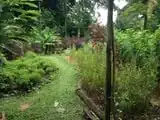 Organic gardens