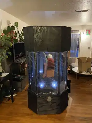 Fall 2022: Redwood Discovery MuseumDesign and build learning exhibits without any screens for K-8th youth at their Eureka, CA location.