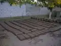 Fig 8: The field of freshly made adobes now awaits the next day or two to be dry enough to handle.