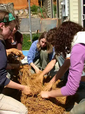 The straw was mixed and turned till all just covered by the clay slip