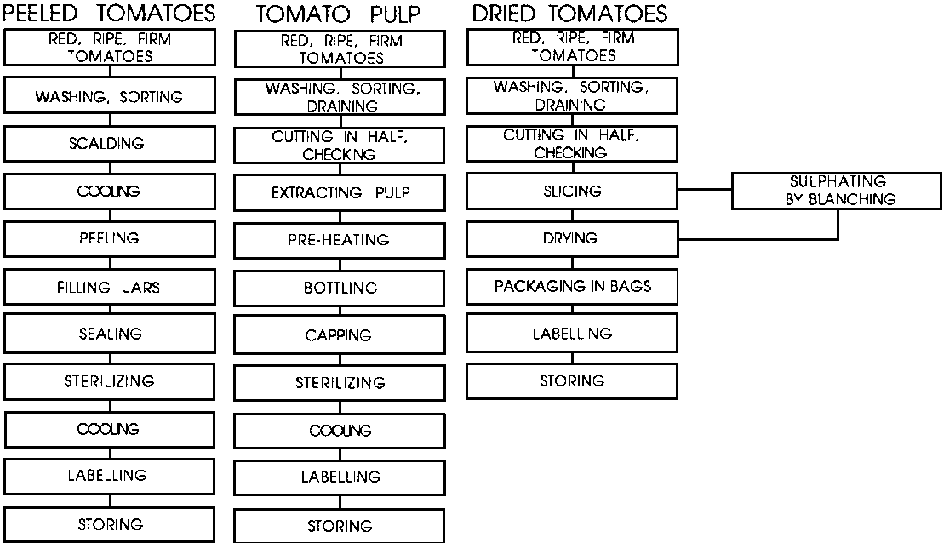 Production diagram for the three preservation techniques storage time.