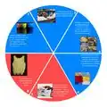 Waste stream educational wheel Waste steam educational wheel.